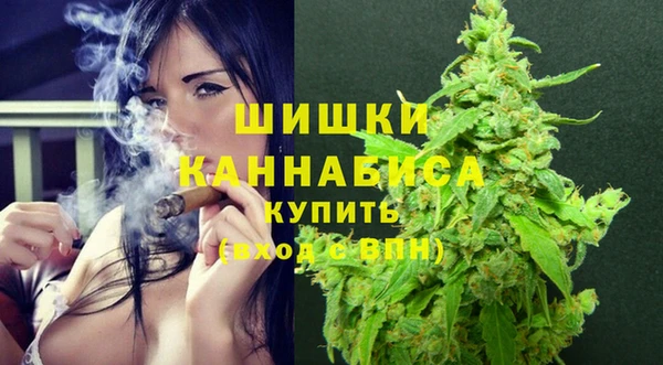 индика Белокуриха