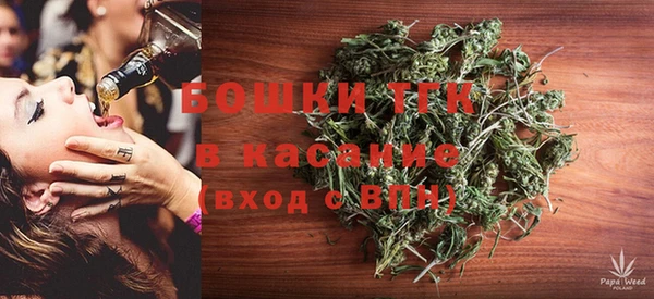 индика Белокуриха
