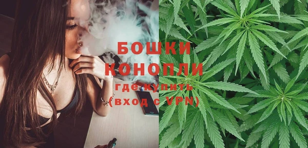 индика Белокуриха