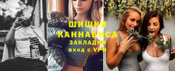 индика Белокуриха
