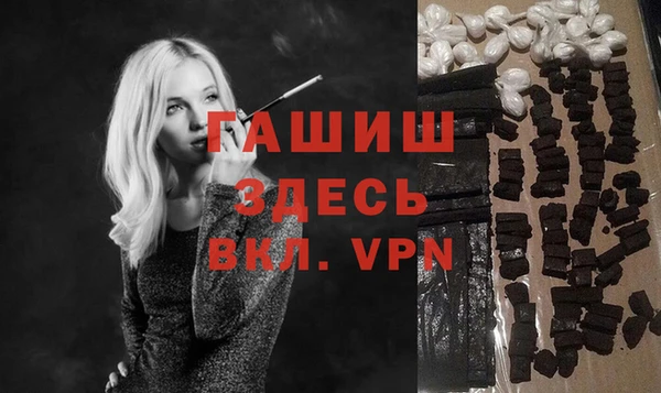 индика Белокуриха