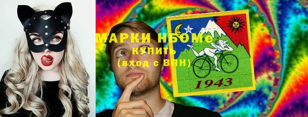 индика Белокуриха
