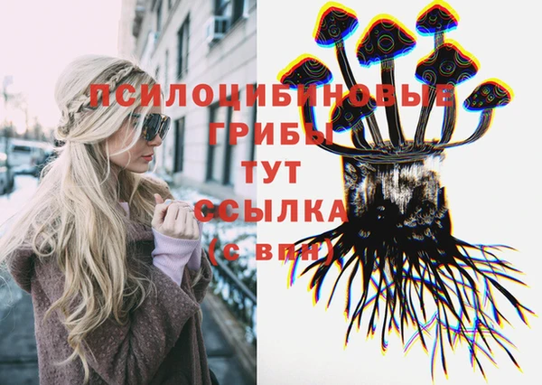 крисы Белоозёрский