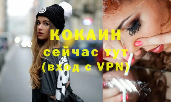 индика Белокуриха