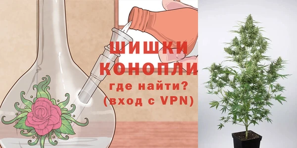 крисы Белоозёрский